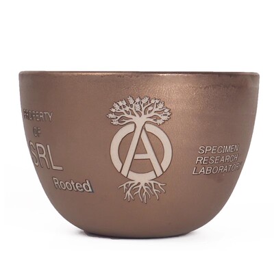 潮流龟甲龙花盆陶瓷块根植物