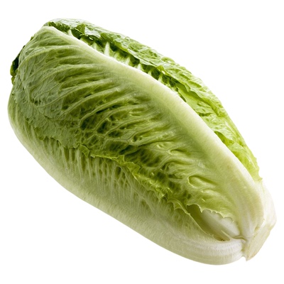 【千牛优福】包心罗马500g生菜