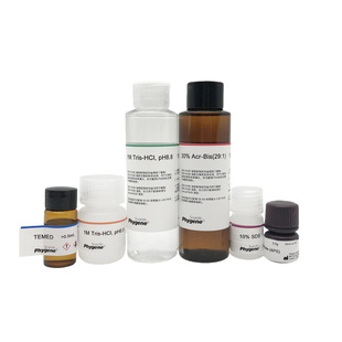 SDS-PAGE凝胶制备试剂盒 SDS-PAGE凝胶配制试剂盒 PH0331 PHYGENE