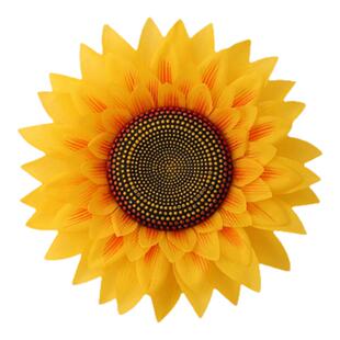 向日葵道具手拿花儿童舞蹈跳舞表演太阳花运动会入场创意道具