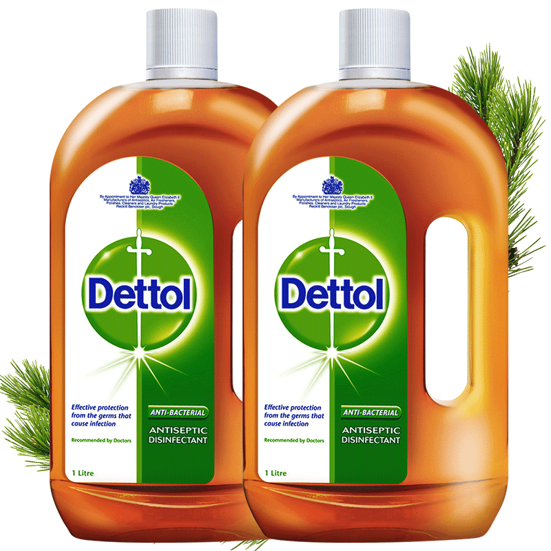 滴露Dettol1L*2家用杀菌消毒液