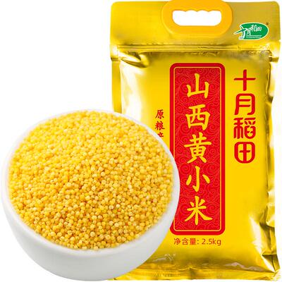 十月稻田山西黄小米特产粗粮