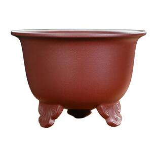 神力精品紫砂花盆矮金钟盆景花盆蝴蝶兰盆栽兰花兰草高脚透气盆