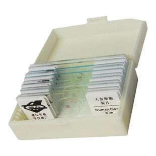 显微镜搭配/玻片标本/生物切片标本/■■疯狂甩卖！