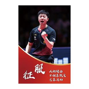 乒乓球室墙面装饰画明星运动员激励志标语宣传海报体育馆墙贴挂画