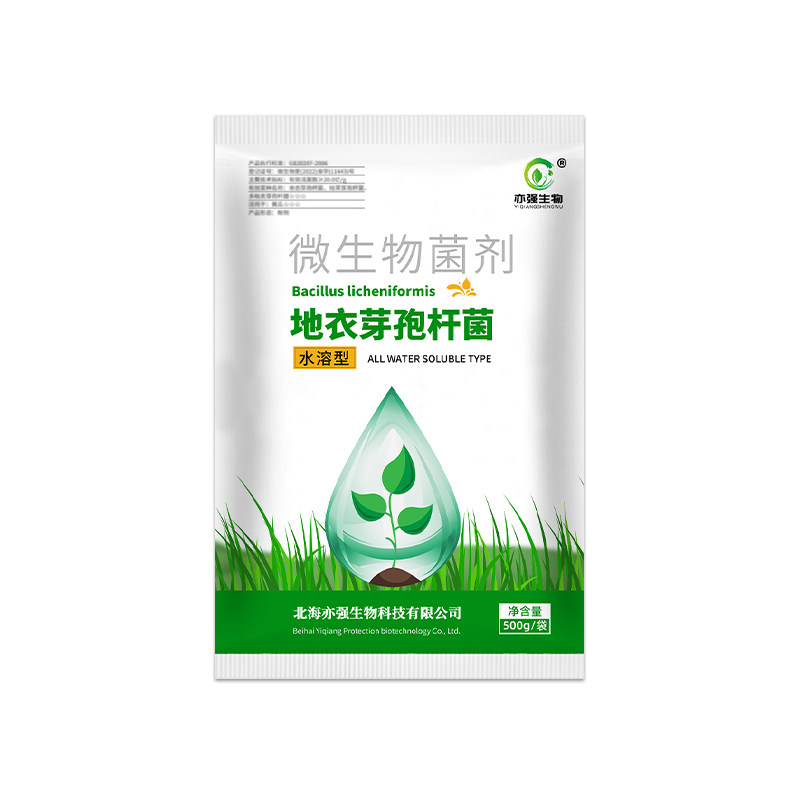 水溶型 地衣芽孢杆菌改良土壤增加肥效微生物菌种植抗重茬