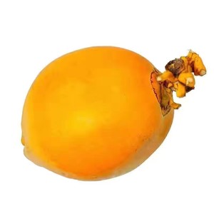 海南金椰子三亚特产新鲜水果黄金红椰九个装包邮现摘带皮送开椰器