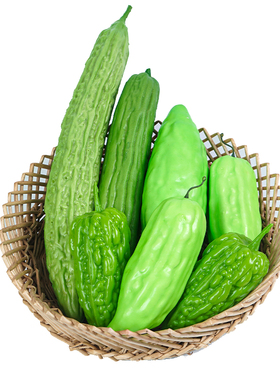 仿真苦瓜模型假蔬菜食物