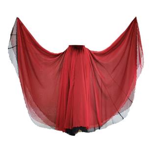 中国古典舞蹈大摆裙720度双层天丝半身纱裙练功现代演出服两面穿