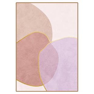 客厅地毯轻奢高级感免洗懒人沙发茶几毯卧室ins奶油风可擦洗地垫