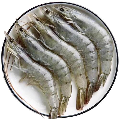 湛江大虾鲜活速冻白对虾海捕特大基围虾海鲜水产北海大虾海虾虾类