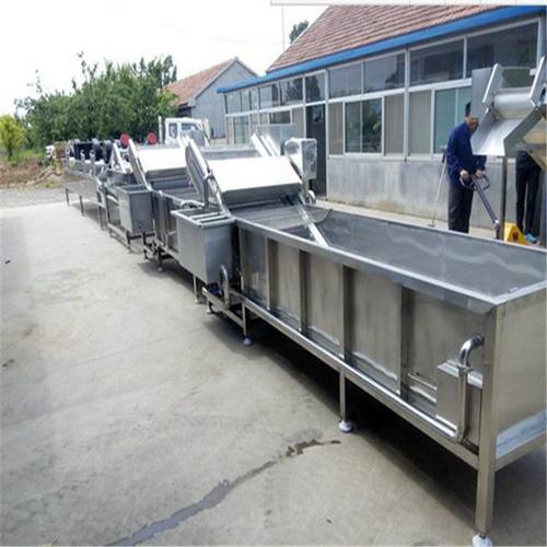 夜兰花漂烫冷却流水线灰灰菜桑树芽加工成套设备桑芽菜清洗漂烫机
