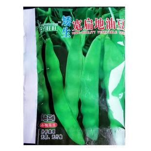 矮生宽扁地油豆种子超早架油豆种子架豆菜豆蔬菜种籽早熟春秋播种