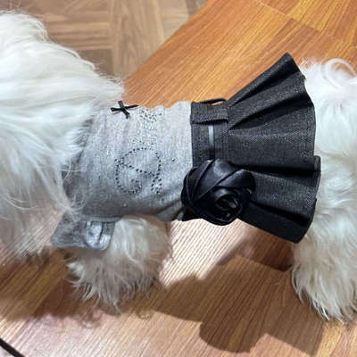 宠物猫咪狗狗春夏款春日游园会博美马尔济斯约克夏西高地宠物服饰