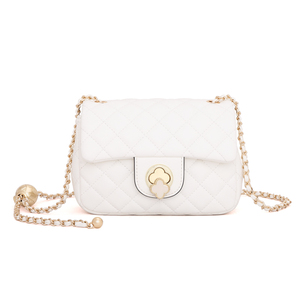 啄木鸟女包2025秋冬新款单肩斜挎包百搭链条包腋下手机包小包包女