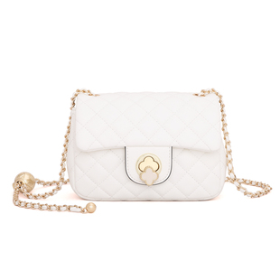 啄木鸟女包2025秋冬新款单肩斜挎包百搭链条包腋下手机包小包包女