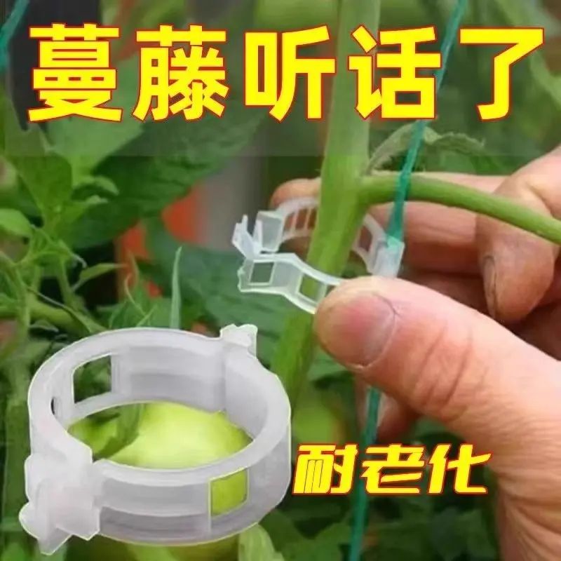 枝黄瓜丝瓜番茄扶蔓西红柿吊秧绑植物固定夹绿植园艺爬藤蔬菜卡扣