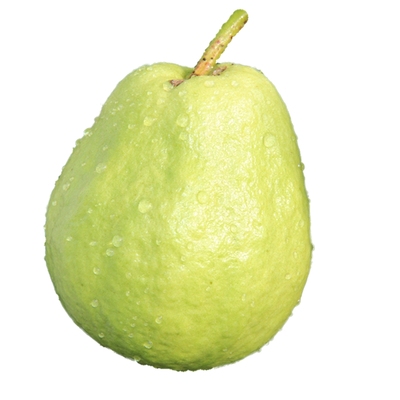 芭乐果现摘现发番石榴清脆脆口