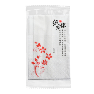 一次性外卖纸巾小包一张单独包装纸巾牙签二合一组合小吃餐饮打包