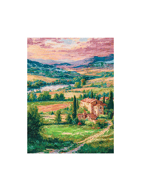 TaoMu 托斯卡纳 治愈系客厅沙发挂画装饰画高级感手工DIY挂毯画