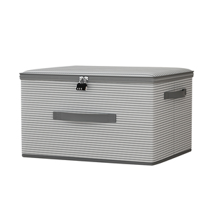 防盗带锁收纳盒大容量可上锁收纳箱学生宿舍隐私保险密码箱子