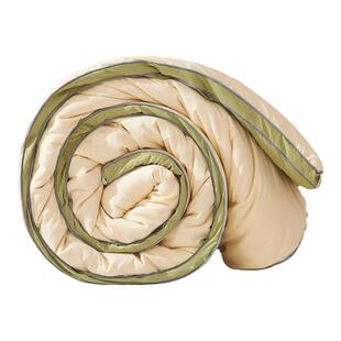 大豆纤维被子冬被加厚保暖冬季棉被芯春秋被单人宿舍学生太空被褥