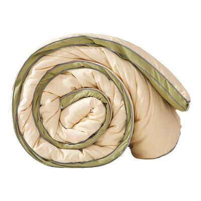 大豆纤维被子冬被加厚保暖棉被芯