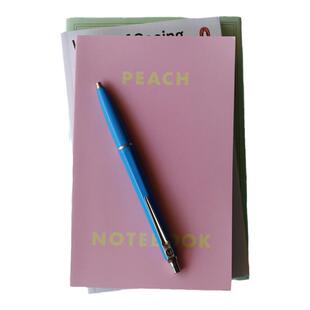 fruitfries韩国代购 小清新水果网格本记事本笔记本PVC手账本ins
