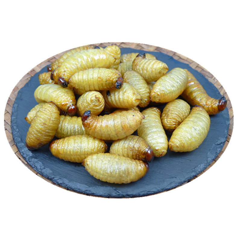 竹笋虫油炸大竹虫即食竹蛹竹蛆胖虫竹蜂幼虫零食美味昆虫宴