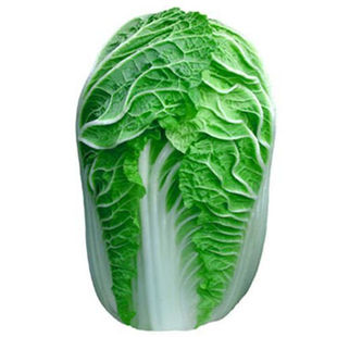 春大将白菜种子 黄心 春白菜 耐低温 不易抽薹 春夏秋播常用品种