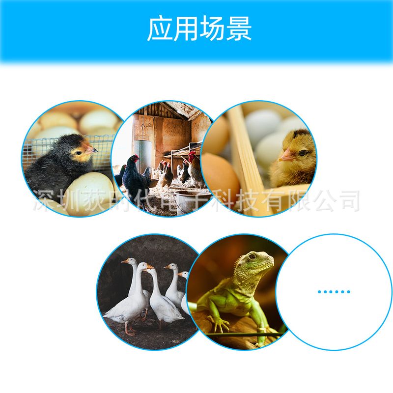 XM-18D自动计算机控制孵化器家禽孵化器系统蛋孵化湿度控制器温度