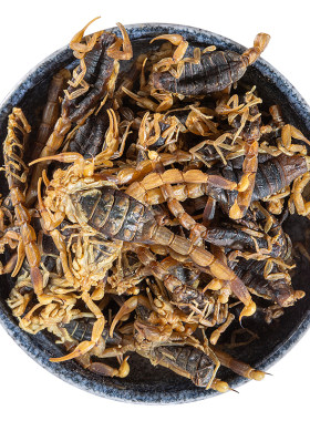 顺方福全蝎中药材饮片鞋子干泡酒