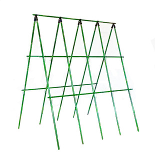 四季豆架杆黄瓜爬藤架豆角番茄支撑杆菜园蔬菜架瓜棚搭架子植物架