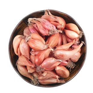 葱类红葱头新鲜蔬菜葱头葱头种本地小葱葱头种四季小香葱火葱头葱