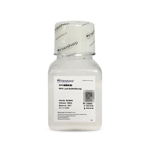 BIOSHARP LIFE SCIENCES 白鲨 BL504A RIPA裂解液(强)细胞组织快速裂解液得到蛋白样品 100ml/瓶 6瓶/盒