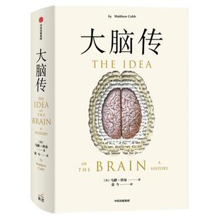 大脑传 马修科布著 陈嘉映作序 中文通俗脑科学全史 神经系统 脑功能 人工智能 神经元 中信出版社图书 正版