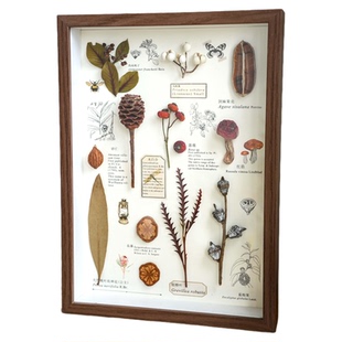 植物标本装饰画相框家居摆台法式复古百搭电视背景墙组合装饰画