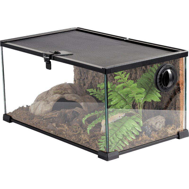 瑞皮reptizoo角蛙饲养箱蜥蜴甲虫
