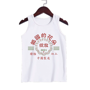 爱国优秀青少年祖国的花朵不吃这一套励志背心男女儿童无袖t恤衫