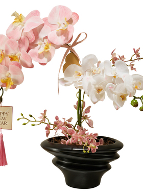 高级感满满的桌面盆栽摆件