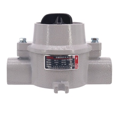 人民电器集团防爆照明