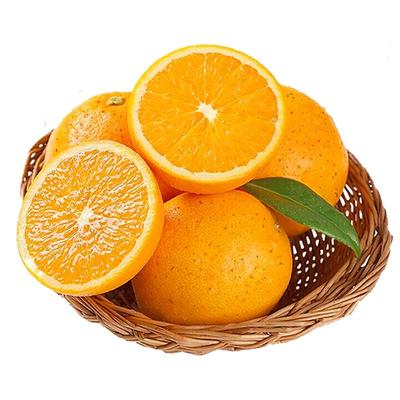 顺丰当天发丨85+果王丨坏果包赔