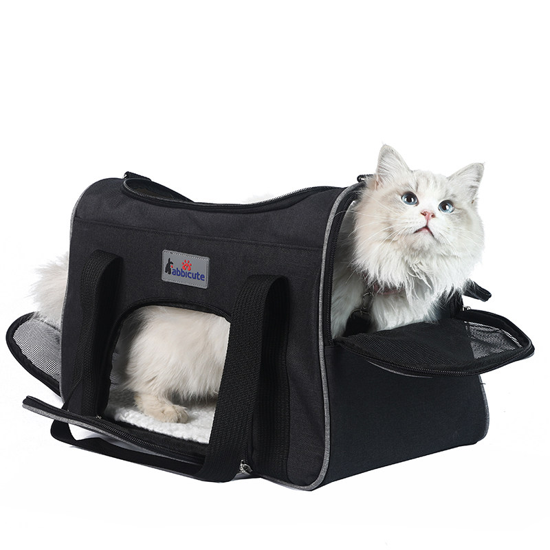 宠物产品用品拍摄宠物狗猫模特广告视频制作电商淘宝亚马逊摄影