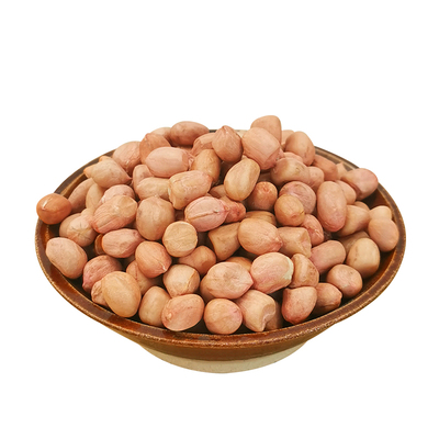 25年现剥花生米生粉皮新鲜大粒花生米不带壳榨油白沙花生仁