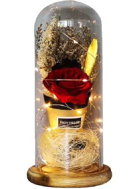 玻璃罩子3d立体防尘展示桌面摆件