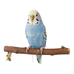 鹦鹉玩具爬梯秋千解闷自嗨玄凤虎皮牡丹云梯鸟笼专用配件藤叶用品