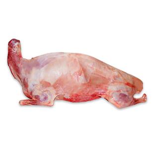 锡林郭勒羊苏尼特全羊整只原切羔羊肉整切草原散养现杀白条羊25斤