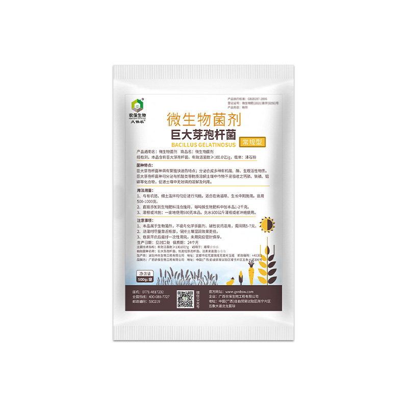 巨大芽孢杆菌改良土壤磷钾种植