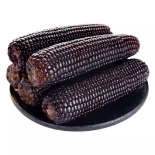 当季新鲜东北黑糯甜玉米真空独立包装锁鲜甜苞米非转基因大棒10支