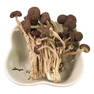 新货茶树菇不开伞500g井冈香菇干货剪跟短茶薪菇江西农家特产1斤